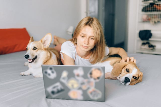 Warum Hunde Mentale Stimulation Brauchen und Wie Man Sie Täglich Bietet