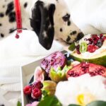 10 Superfoods, Die Sie Sicher Mit Ihrem Hund Teilen Können